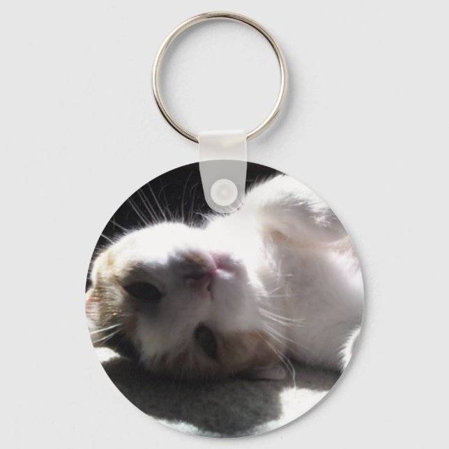 Llavero ¡hey, kitty kitty key chain! (Anverso)