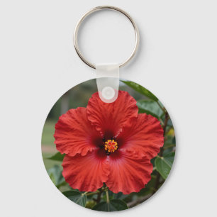 Llavero Hibisco Tropical Rojo Vibrante Floración