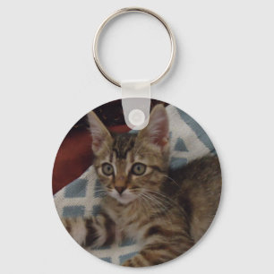 Llavero Hiedra el gatito del tabby