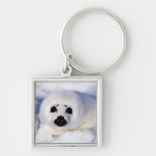 Llavero Hielo de cachorro de foca de arpa Golfo de San Lor