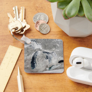 Llavero Hielo En Los Grandes Lagos, Estados Unidos.