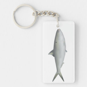 Llavero Hilsa Shad