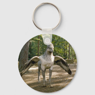 Llavero Hippogriff