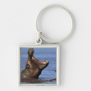 Llavero Hippopotamus (amphibius del Hippopotamus) en