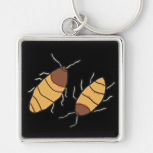 Llavero Hissing Cockroach