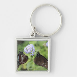 Llavero Hodokubo, Hino, Tokio, Japón 3