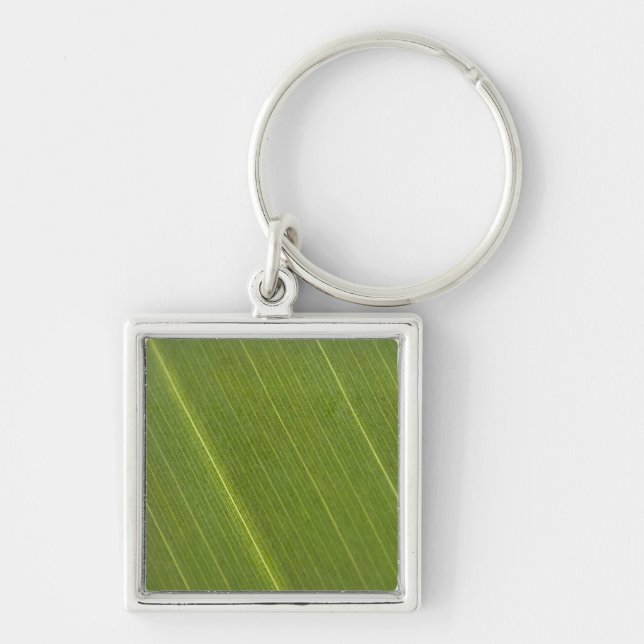 Llavero Hoja de palmera (Frente)