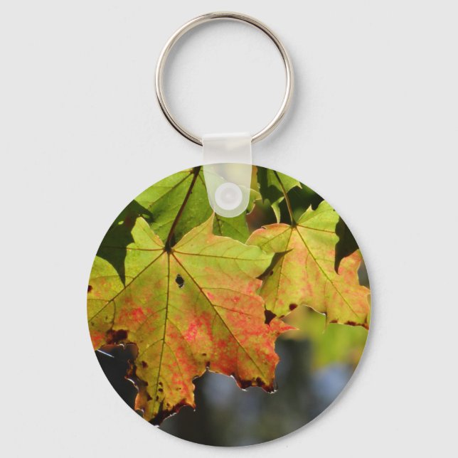 Llavero Hojas de caída coloridas (Anverso)
