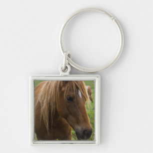 Llavero Hola de caballo