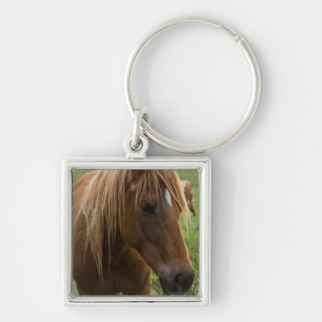 Llavero Hola de caballo (Frente)