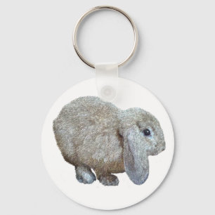 Llavero Holland Lop Ear Rabbit Keychain