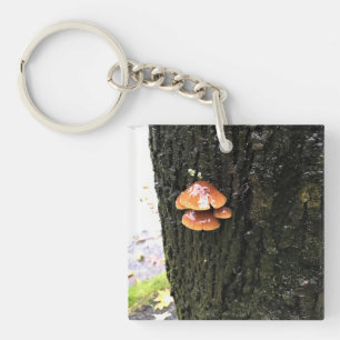 Llavero Hongos en un árbol, Oregón