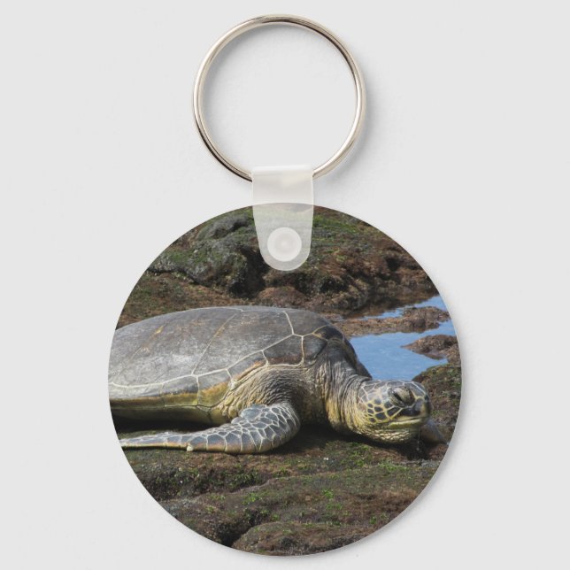 Llavero Honu descansando en las cálidas rocas (Anverso)