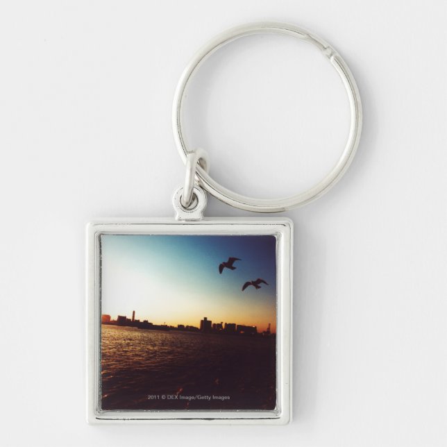 Llavero Horizonte silueteado de la bahía de Tokio en la (Frente)