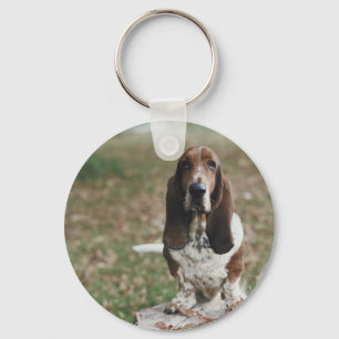 Llavero Hound Basset