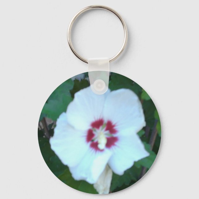 LLAVERO HPIM0580 (Anverso)