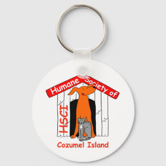 Llavero HSCI Keychain