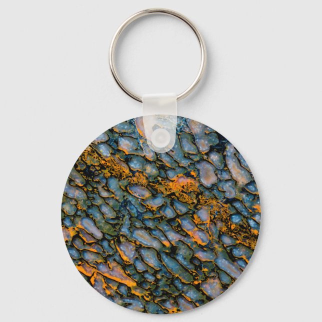 Llavero Hueso de dinosaurio Petrificado (Anverso)