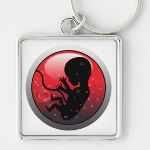 LLAVERO HUMAN BABY EMBRYO
