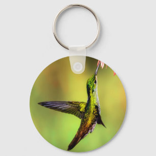 Llavero Hummingbird