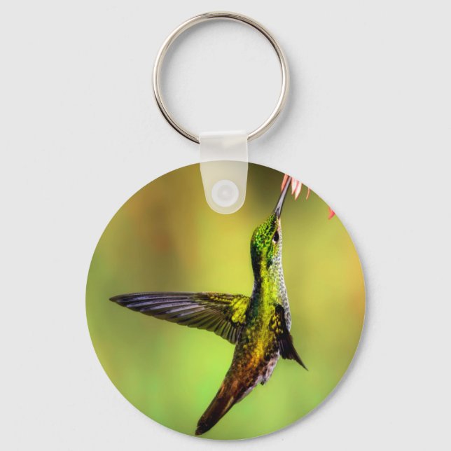 Llavero Hummingbird (Anverso)