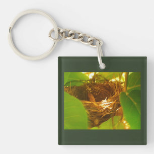 Llavero Hummingbird Nest