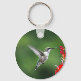 LLAVERO HUMMINGBIRD PRODUCTOS
