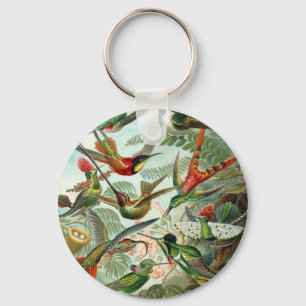 Llavero Hummingbird (Trochilidae) por Haeckel Keychain