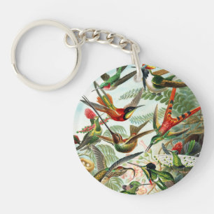 Llavero Hummingbirds por Ernst Haeckel