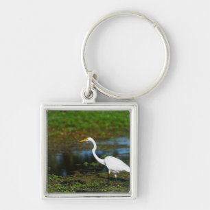 Llavero Hunting Egret