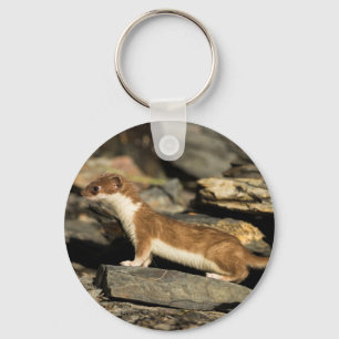 Llavero Hunting Weasel
