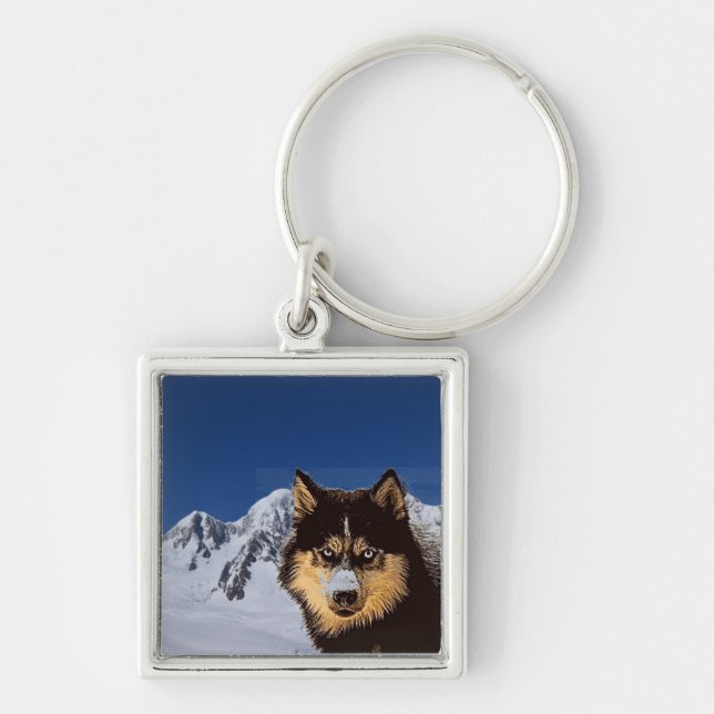 Llavero Husky Keychain siberiano (Frente)