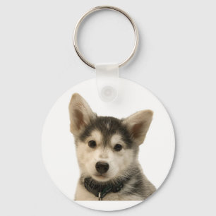 Llavero Husky Keychain siberiano