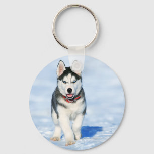 Llavero Husky Siberian