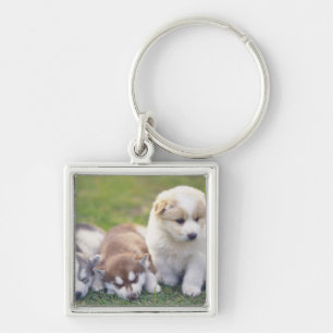 Llavero Husky siberiano; Una raza del perro de trabajo eso