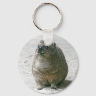 Llavero Hyrax de roca