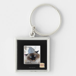 Llavero I ha venido pillar el pueblo del ur