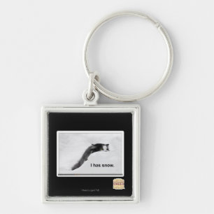 Llavero I tiene nieve