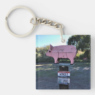 Llavero Idaho Wonder Pig, Gracioso
