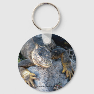Llavero Iguana, plazas de los las de Islas, las Islas