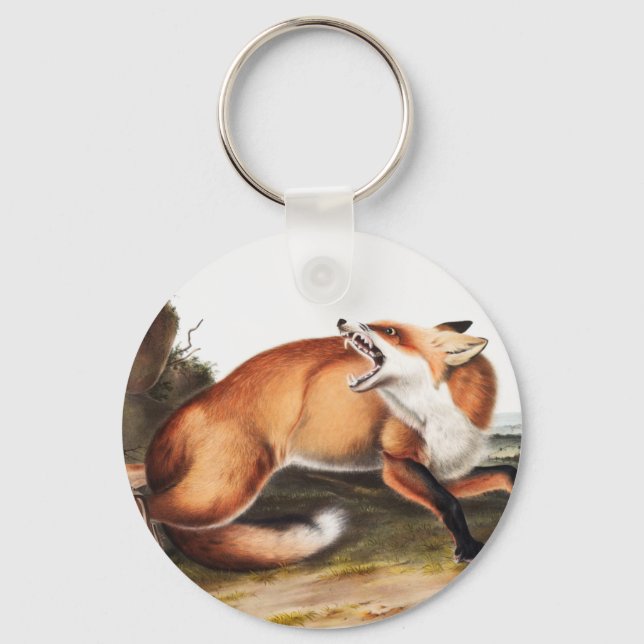 Llavero Ilustracion americano de Fox Roja (Vulpes Fulvus) (Anverso)
