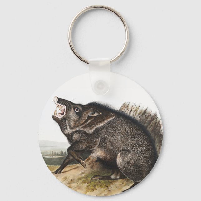 Llavero Ilustracion Collared Peccary Dycoteles torquatus (Anverso)