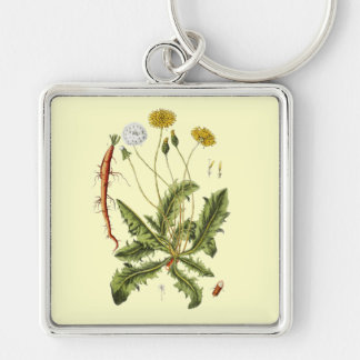 Llavero Ilustracion Dandelion de época