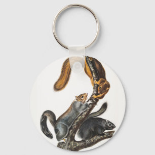 Llavero Ilustracion de la ardilla del gato (Sciurus cinere