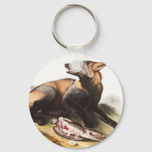 Llavero Ilustracion de la Cruz Fox de Estados Unidos (Cani