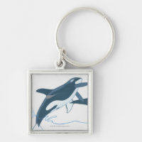 Ilustracion de las orcas (orca del Orcinus)