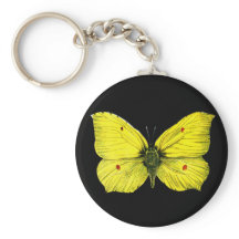 Ilustracion de mariposa de color negro y amarillo