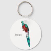 Ilustracion de personalizado de aves quetzales res