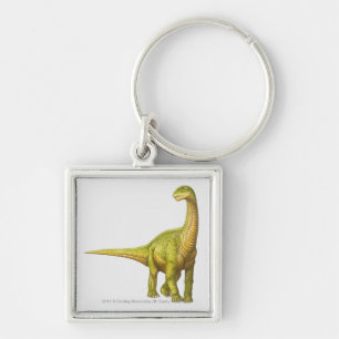 Llavero Ilustracion de un Camarasaurus