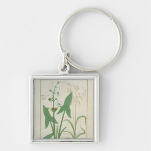 Llavero Ilustracion del "libro de las medicinas simples" 2